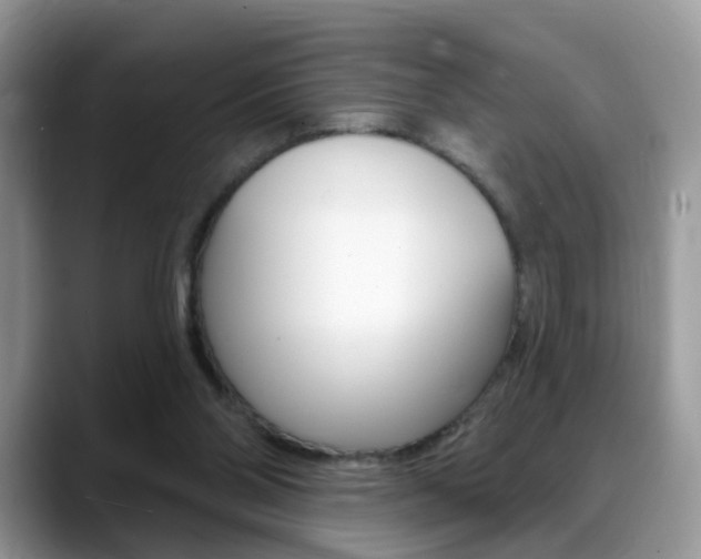 X0000088880110200706080749