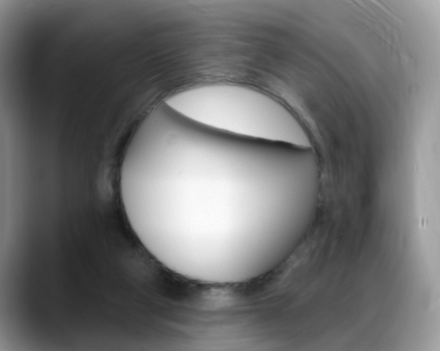 X0000088880114200706080749