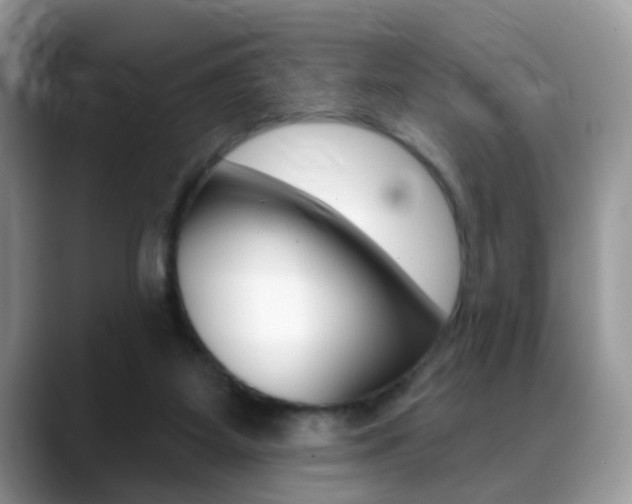 X0000088880115200706080749