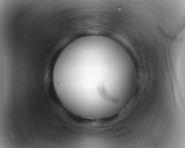 X0000088880116200706080749