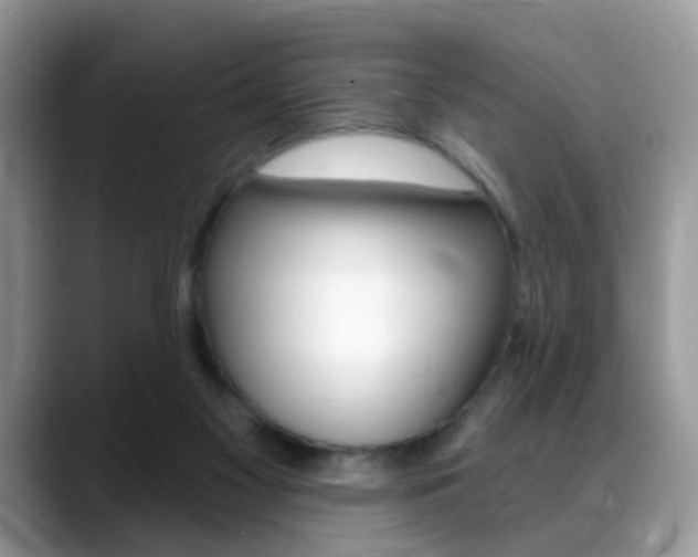 X0000088880117200706080749