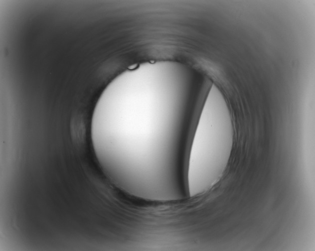 X0000088880120200706080749