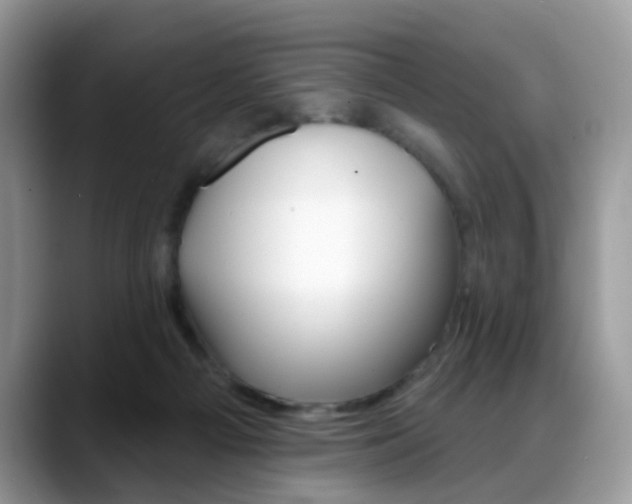 X0000088880121200706080749