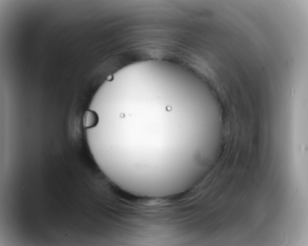X0000088880122200706080749