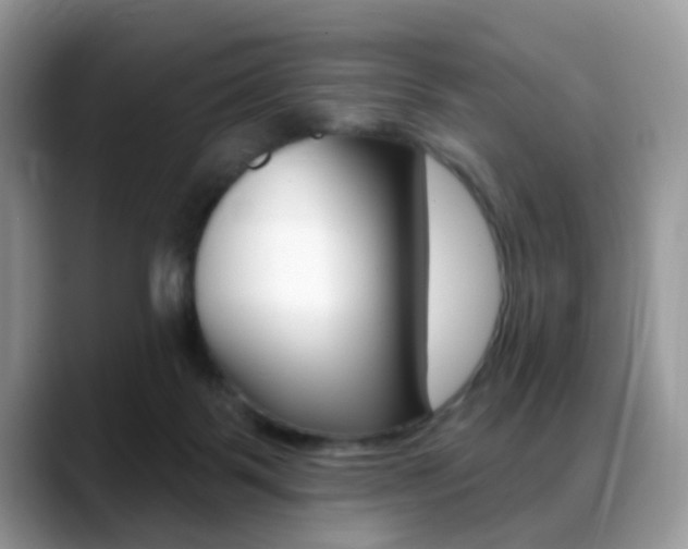 X0000088880123200706080749
