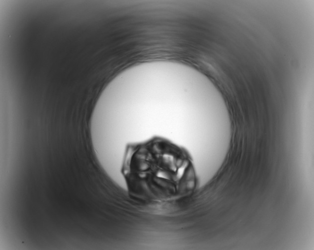 X0000088880125200706080749