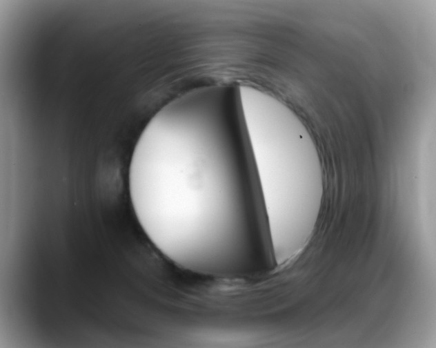 X0000088880128200706080749