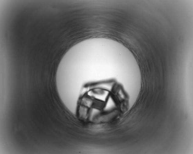 X0000088880129200706080749