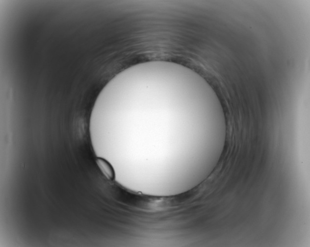 X0000088880130200706080749