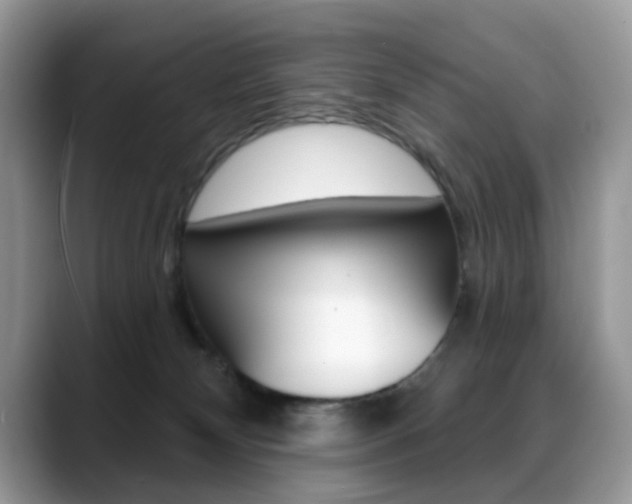 X0000088880132200706080748