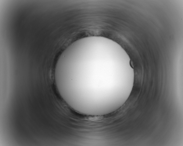X0000088880134200706080748