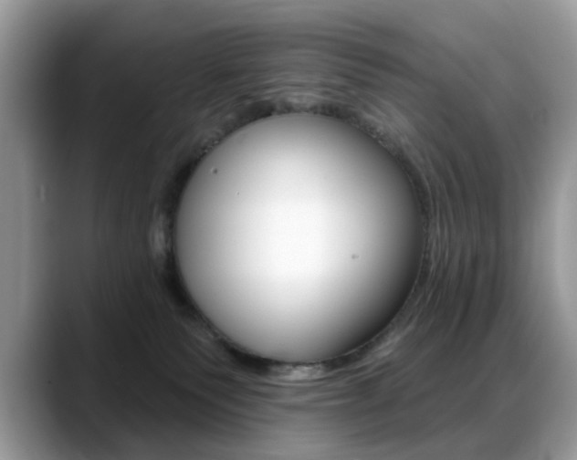 X0000088880135200706080748