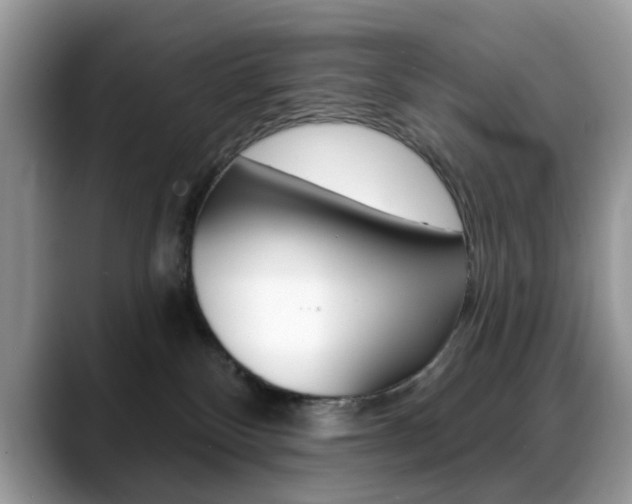 X0000088880136200706080748