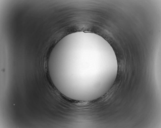 X0000088880138200706080748