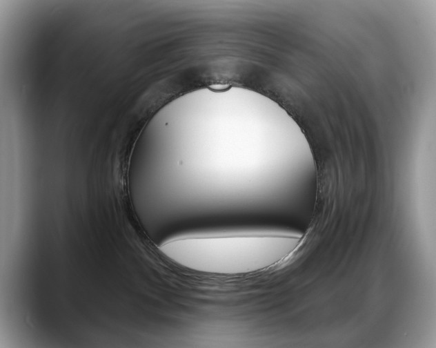 X0000088880140200706080748