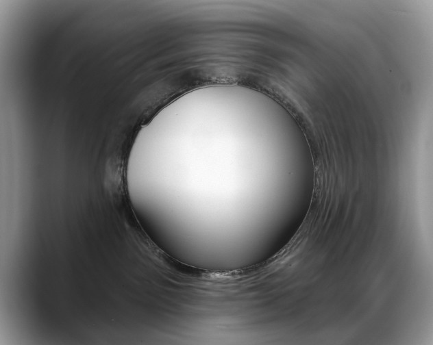 X0000088880141200706080748