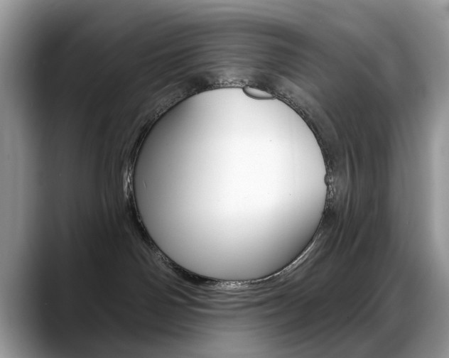 X0000088880142200706080748