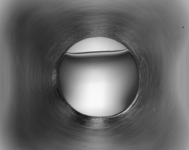 X0000088880144200706080748