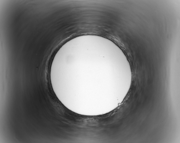 X0000088880146200706080748