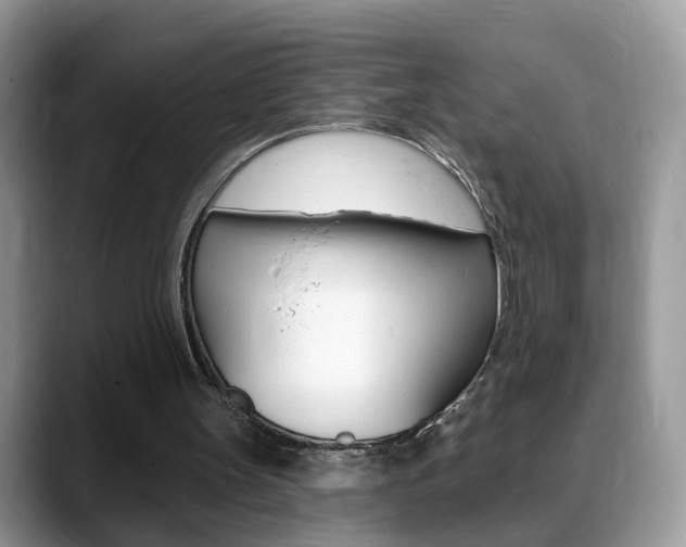 X0000088880147200706080748