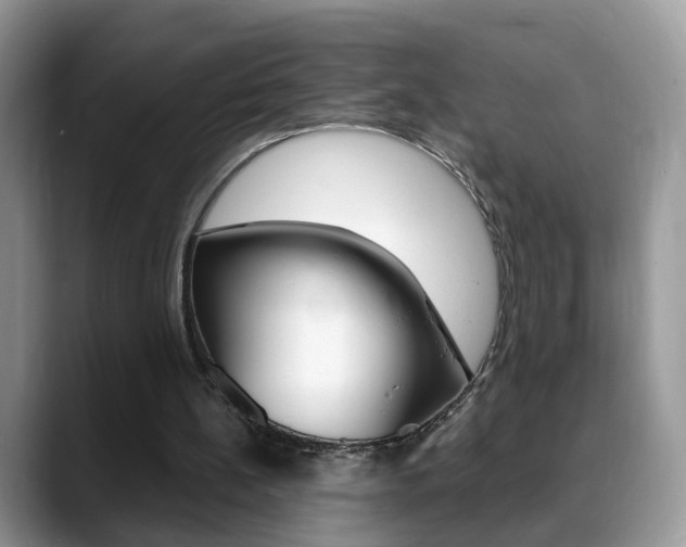 X0000088880148200706080748