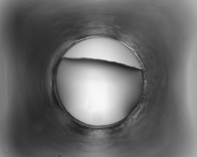 X0000088880149200706080748