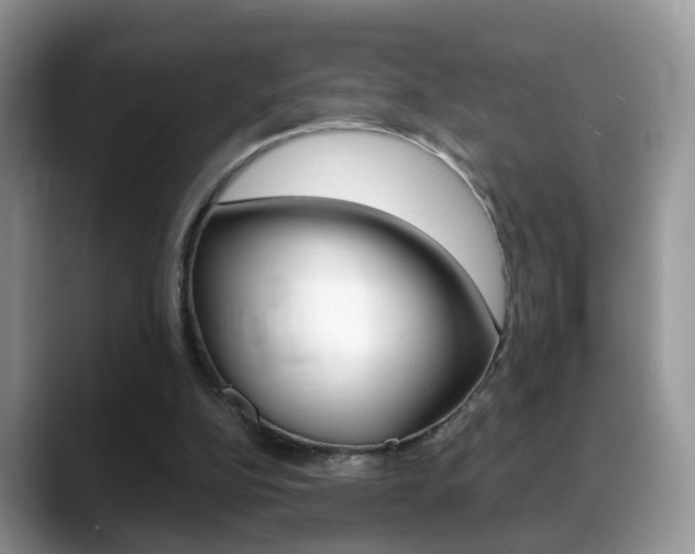 X0000088880152200706080748