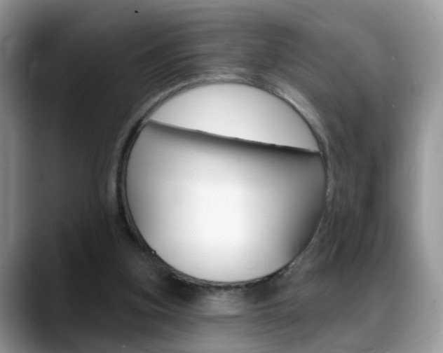 X0000088880155200706080748
