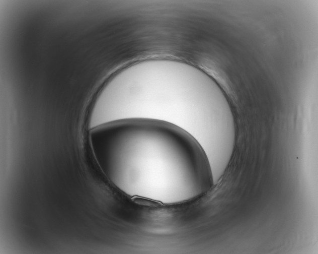X0000088880156200706080748