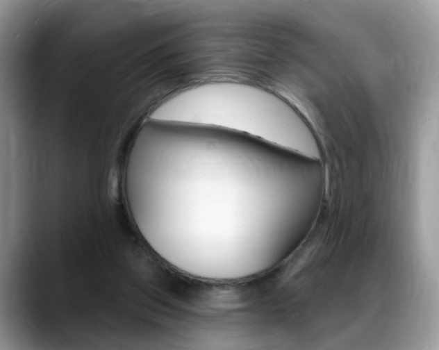 X0000088880157200706080748