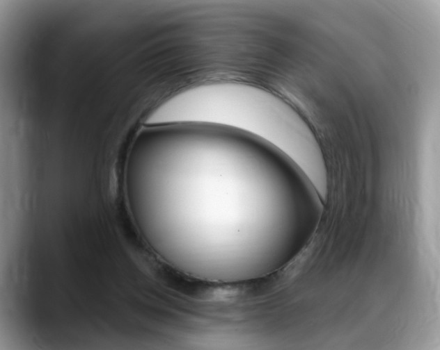 X0000088880158200706080748
