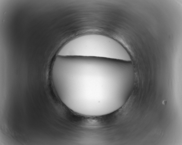 X0000088880159200706080748