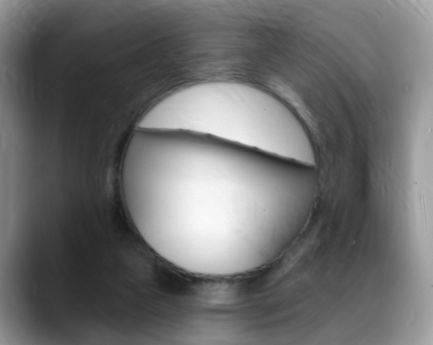 X0000088880161200706080748