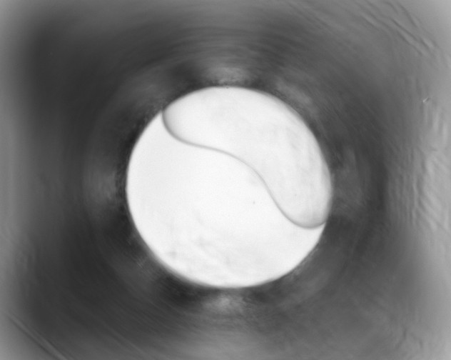X0000088880162200706080748