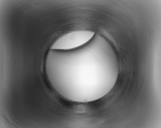 X0000088880163200706080748