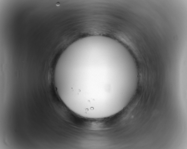 X0000088880165200706080748