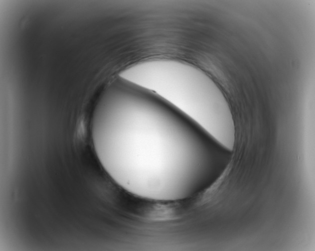X0000088880166200706080748