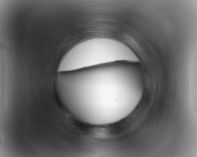 X0000088880169200706080748