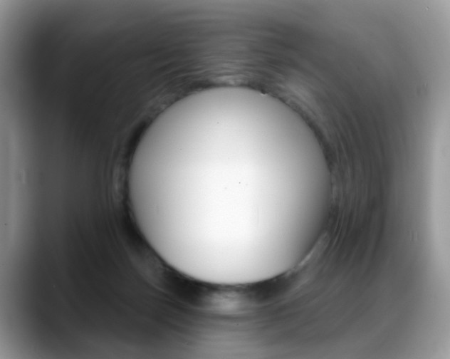 X0000088880171200706080748