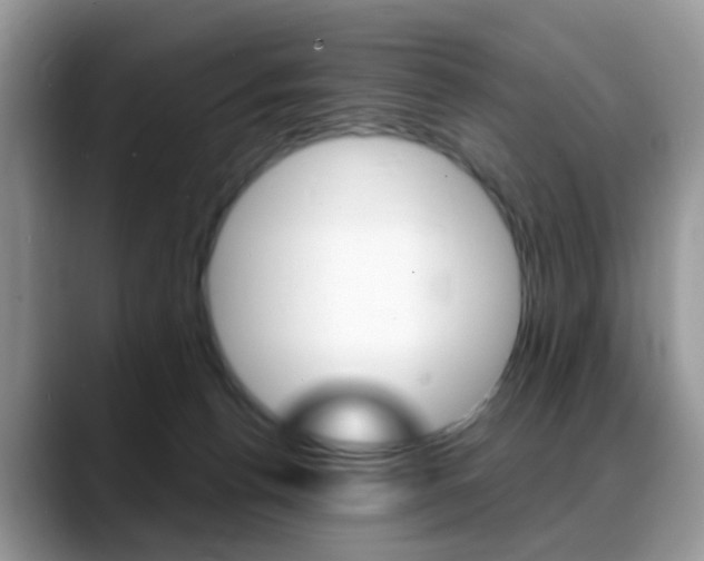 X0000088880176200706080748