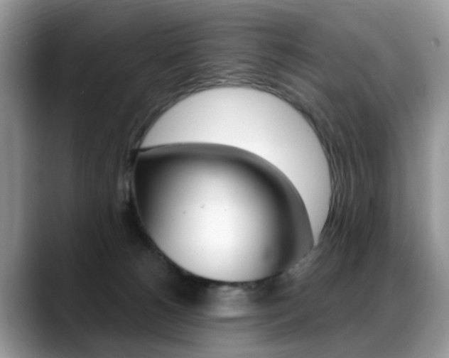 X0000088880180200706080748