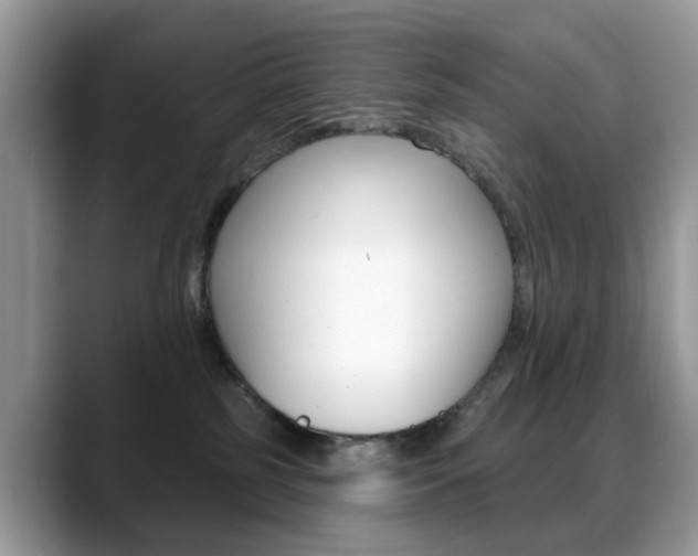 X0000088880185200706080748