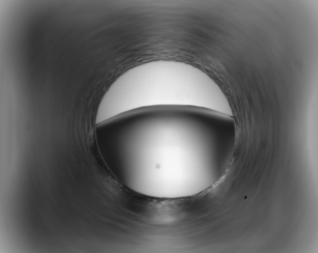 X0000088880186200706080748