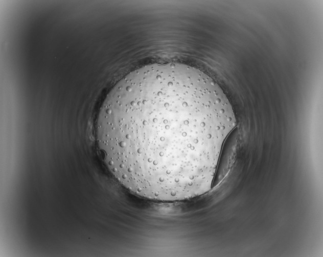 X0000088880187200706080748