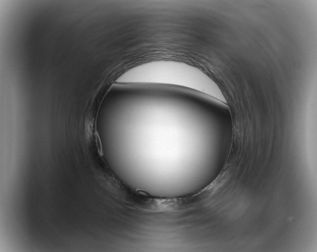 X0000088880188200706080748