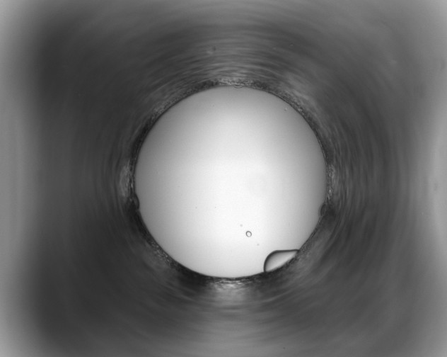 X0000088880189200706080748