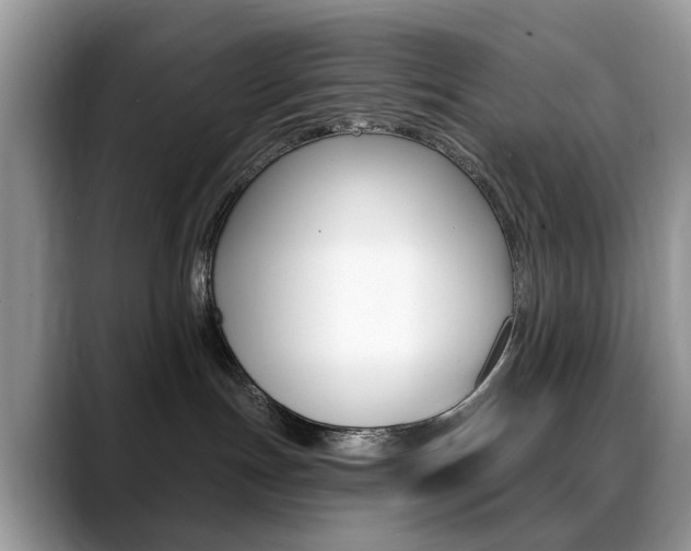 X0000088880191200706080748