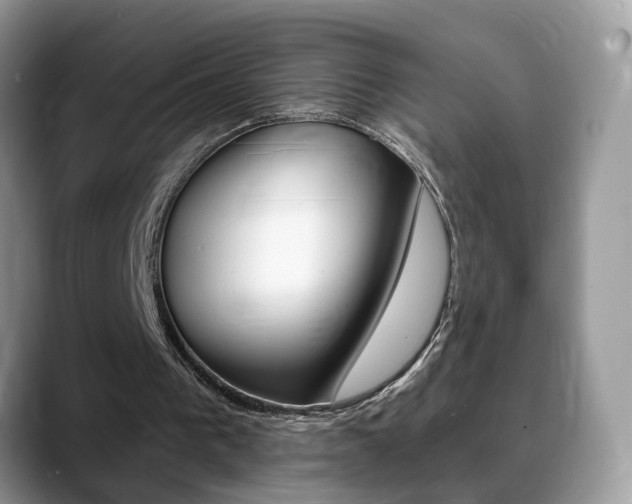 X0000088880193200706080748