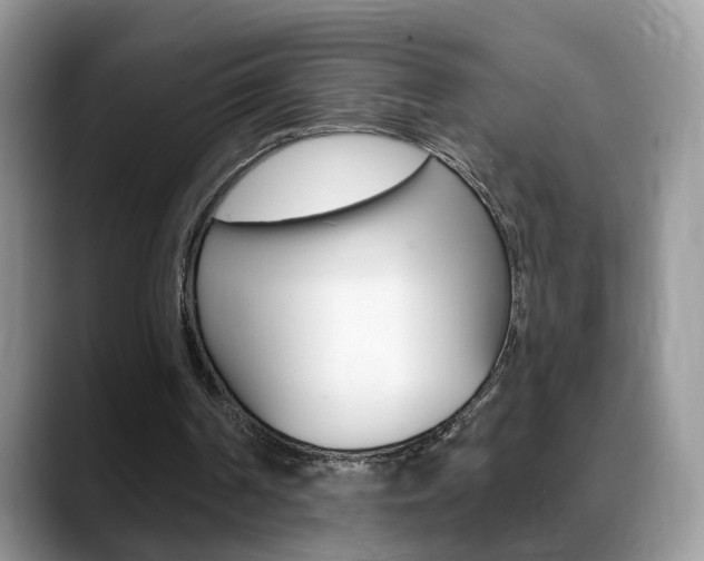 X0000088880194200706080748