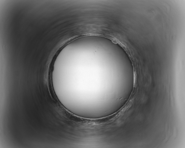 X0000088880195200706080748